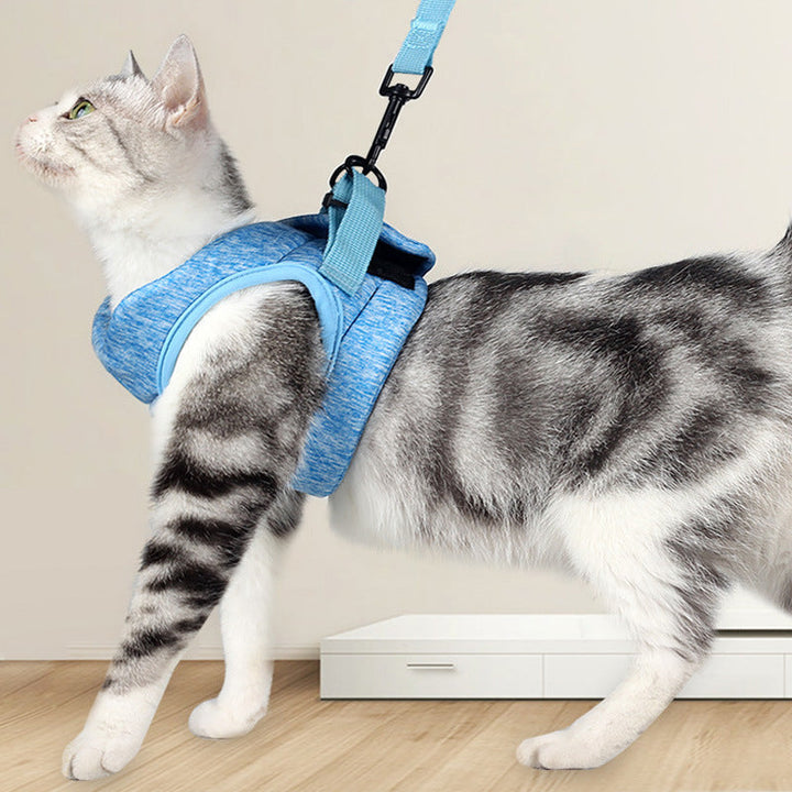 Experience Freedom and Comfort with Our Breathable Lightweight Pet Chest Strap Lace Leash