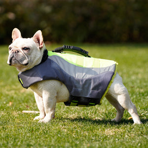 Reflective Pet Swimsuit And Life Jacket: Safety and Style for Your Furry Friend