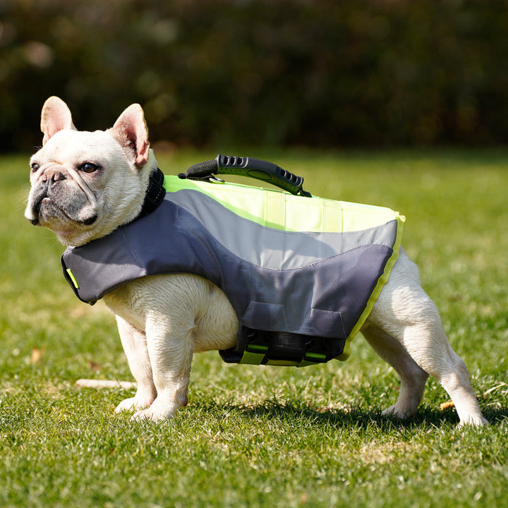 Reflective Pet Swimsuit And Life Jacket: Safety and Style for Your Furry Friend