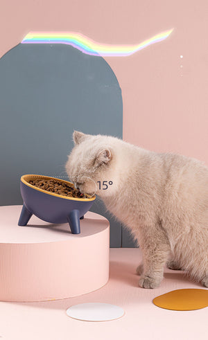 Discover the Ultimate Pet Feeding Solution