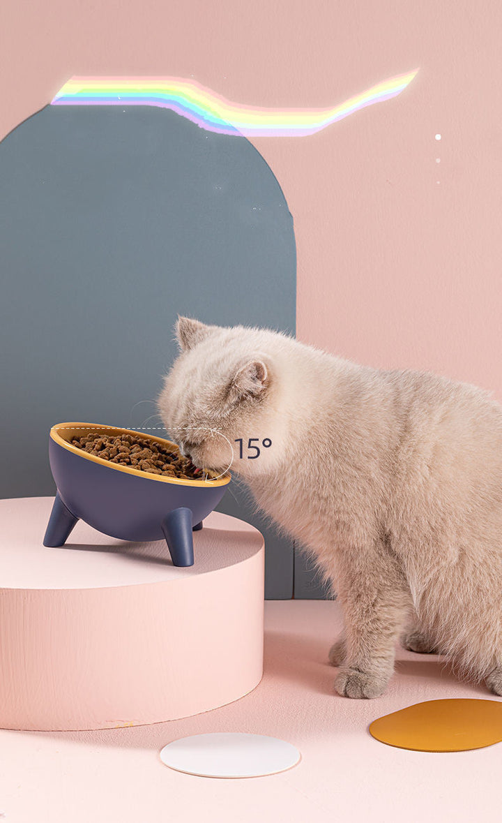 Discover the Ultimate Pet Feeding Solution