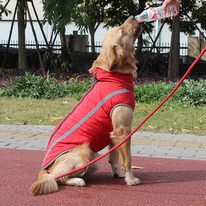 Keep Your Pet Warm and Stylish This Winter!