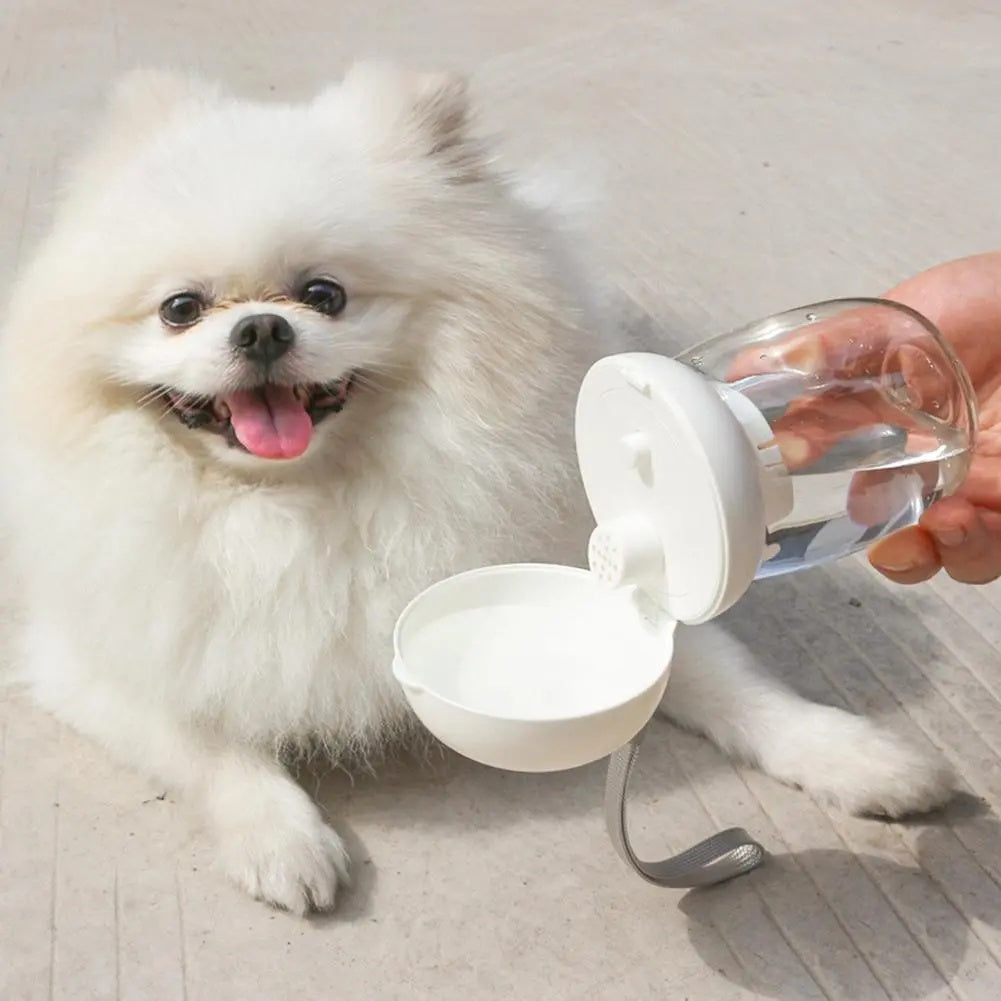 Stay Hydrated on the Go: The Portable Pet Water Bottle with Feeding Bowl