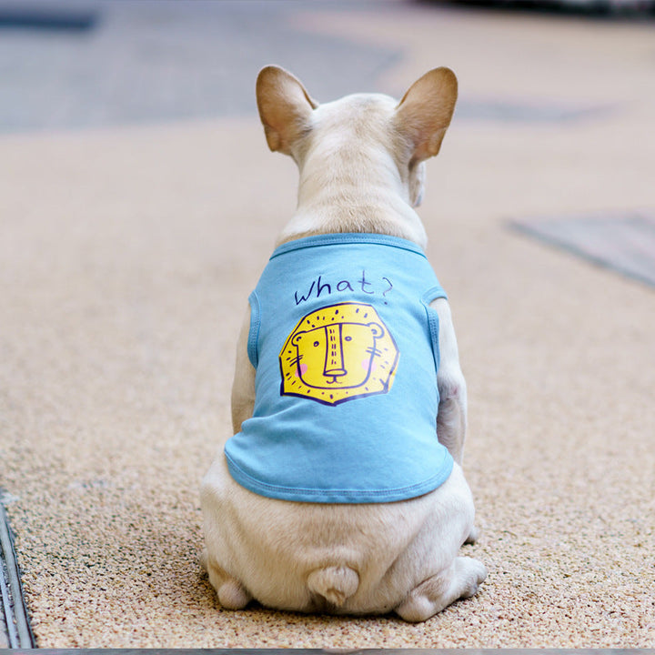 Dress Your Pet in Style This Summer!