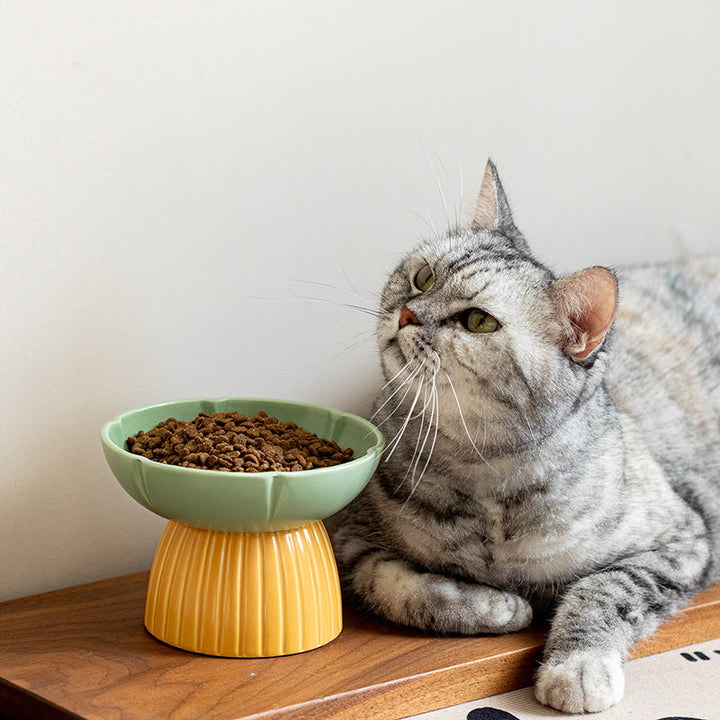 Enhance Your Pet's Dining Experience with Our Macaron Style Ceramic Pet Feeding Bowl