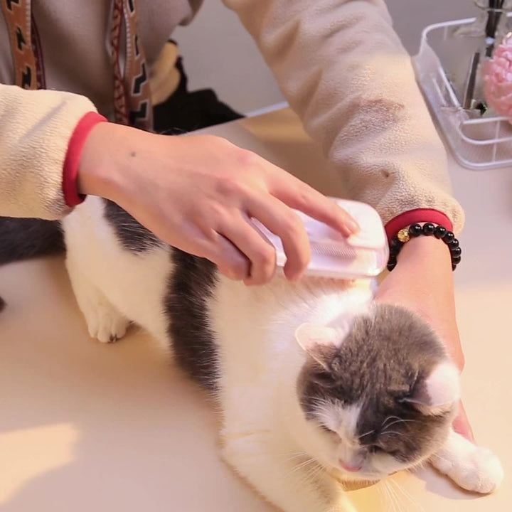 Transform Bath Time with Our Pet Silicone Bath Massage Brush