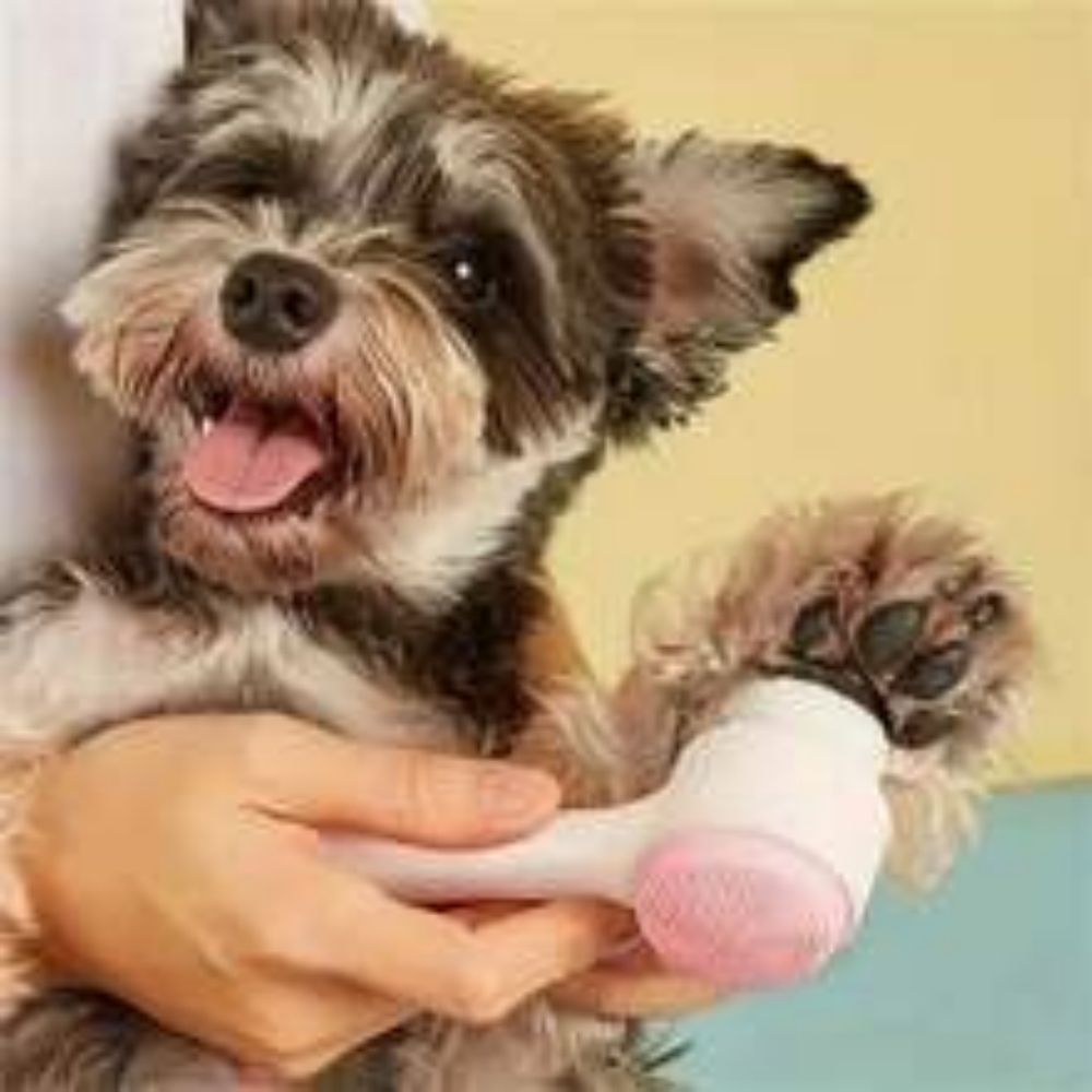 Transform Your Pet's Grooming Experience with the Easy Clean Nylon Pet Paw Grooming Massage Brush