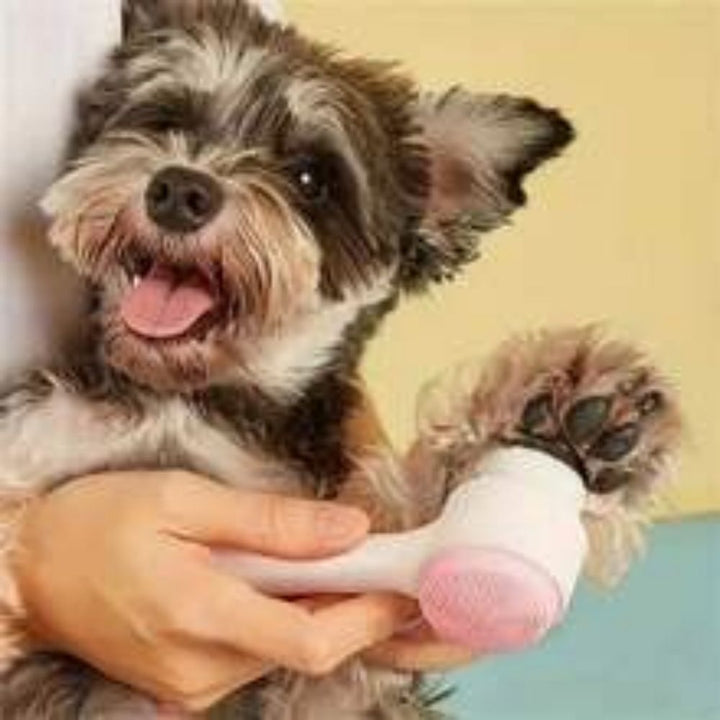 Transform Your Pet's Grooming Experience with the Easy Clean Nylon Pet Paw Grooming Massage Brush