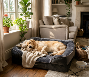 Ultimate Guide to Perfect Pet Bed