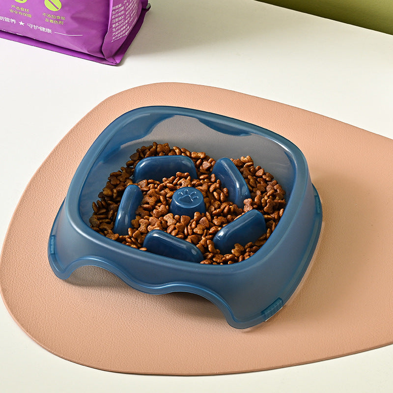Anti-Choking Pet Slow Feeding Water Bowl
