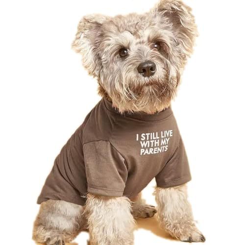 Pet Round Neck T-Shirt Clothing