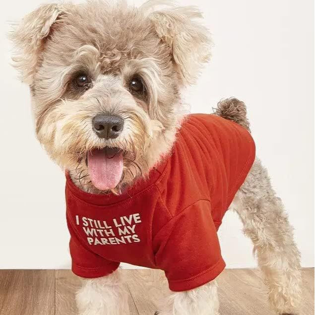 Pet Round Neck T-Shirt Clothing