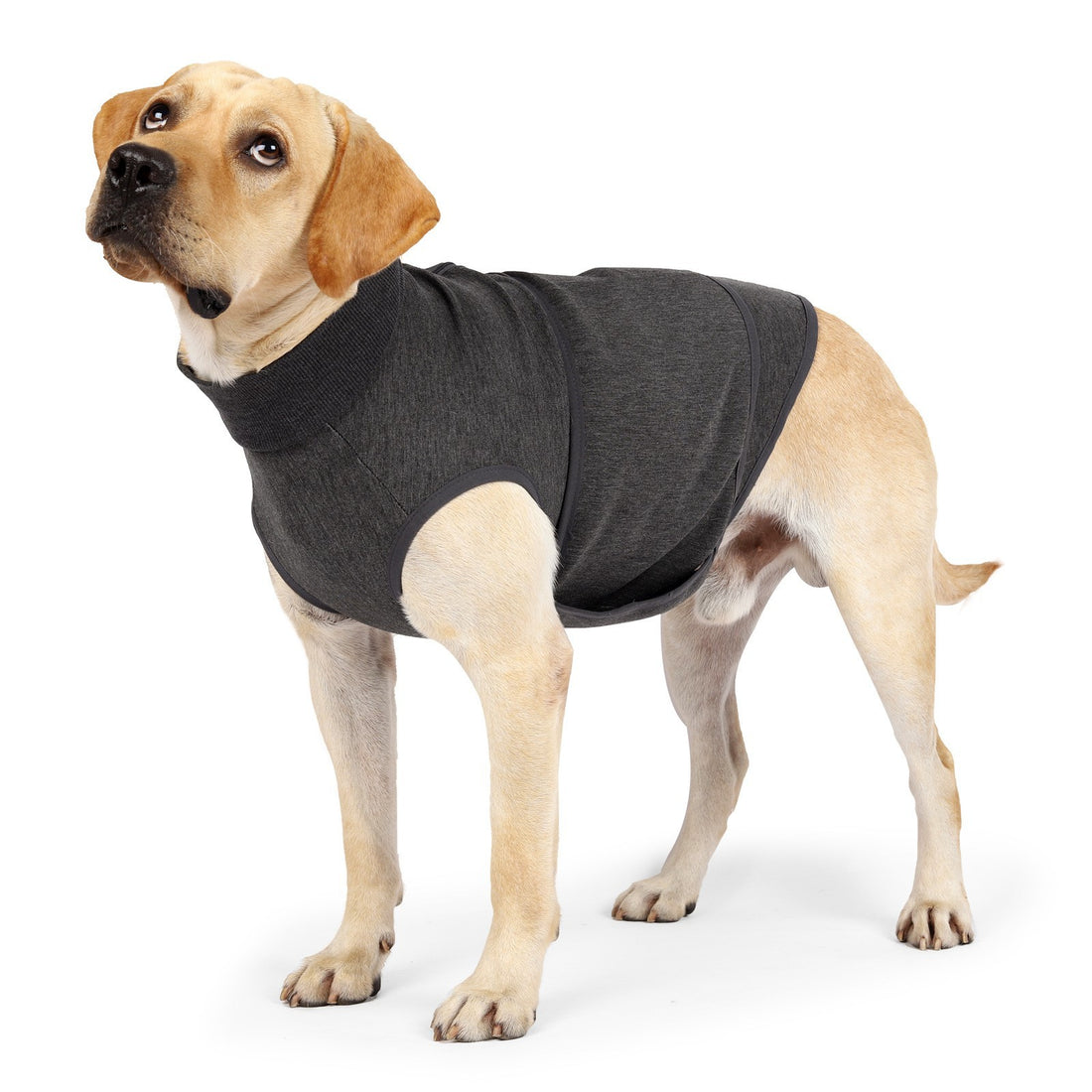 Pet Polyester Emotional Comfort Cotton Double Jacket Clothing