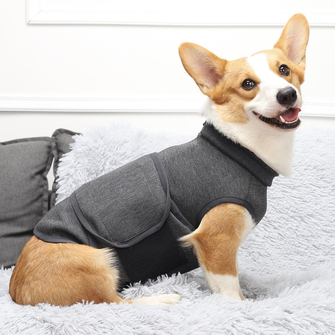 Pet Polyester Emotional Comfort Cotton Double Jacket Clothing