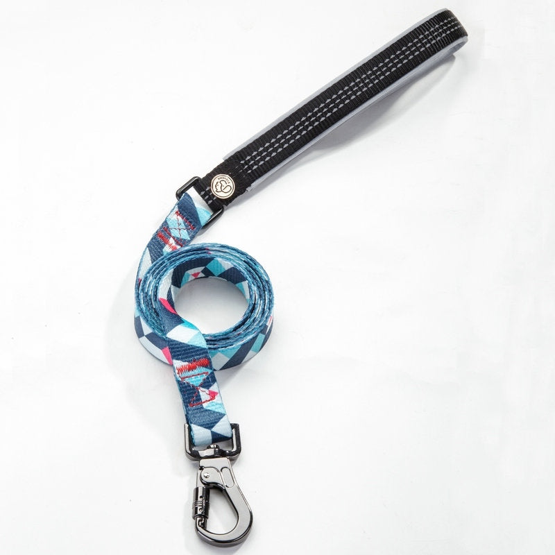 Pet Supply Leash For Walking Pets