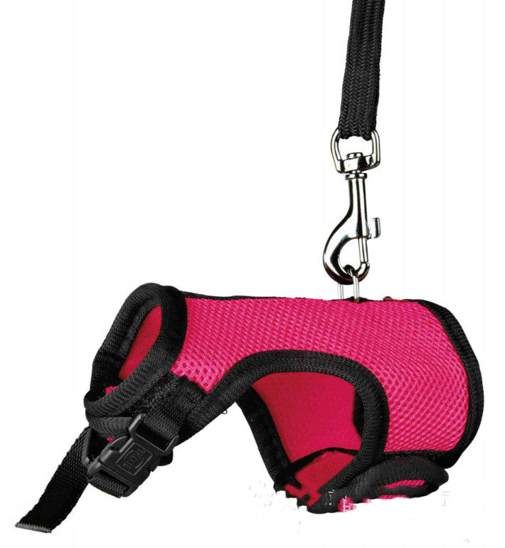 Adjustable Small Pet Leash For Safe Outdoor Walking Control