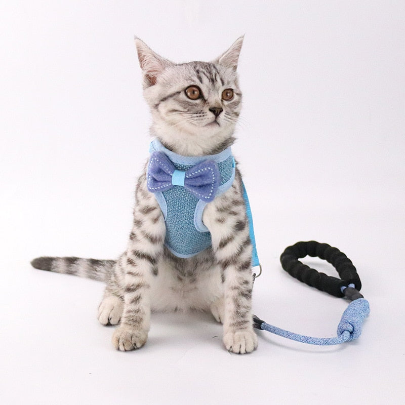 Pet Chest And Back Harness Leash