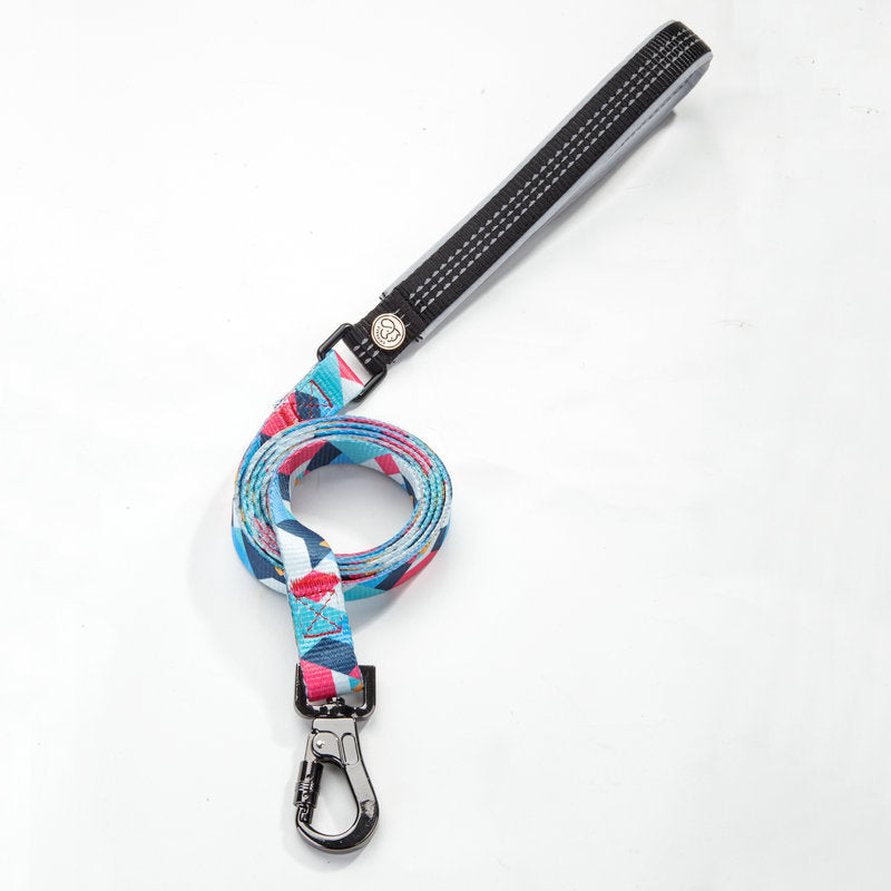 Pet Supply Leash For Walking Pets