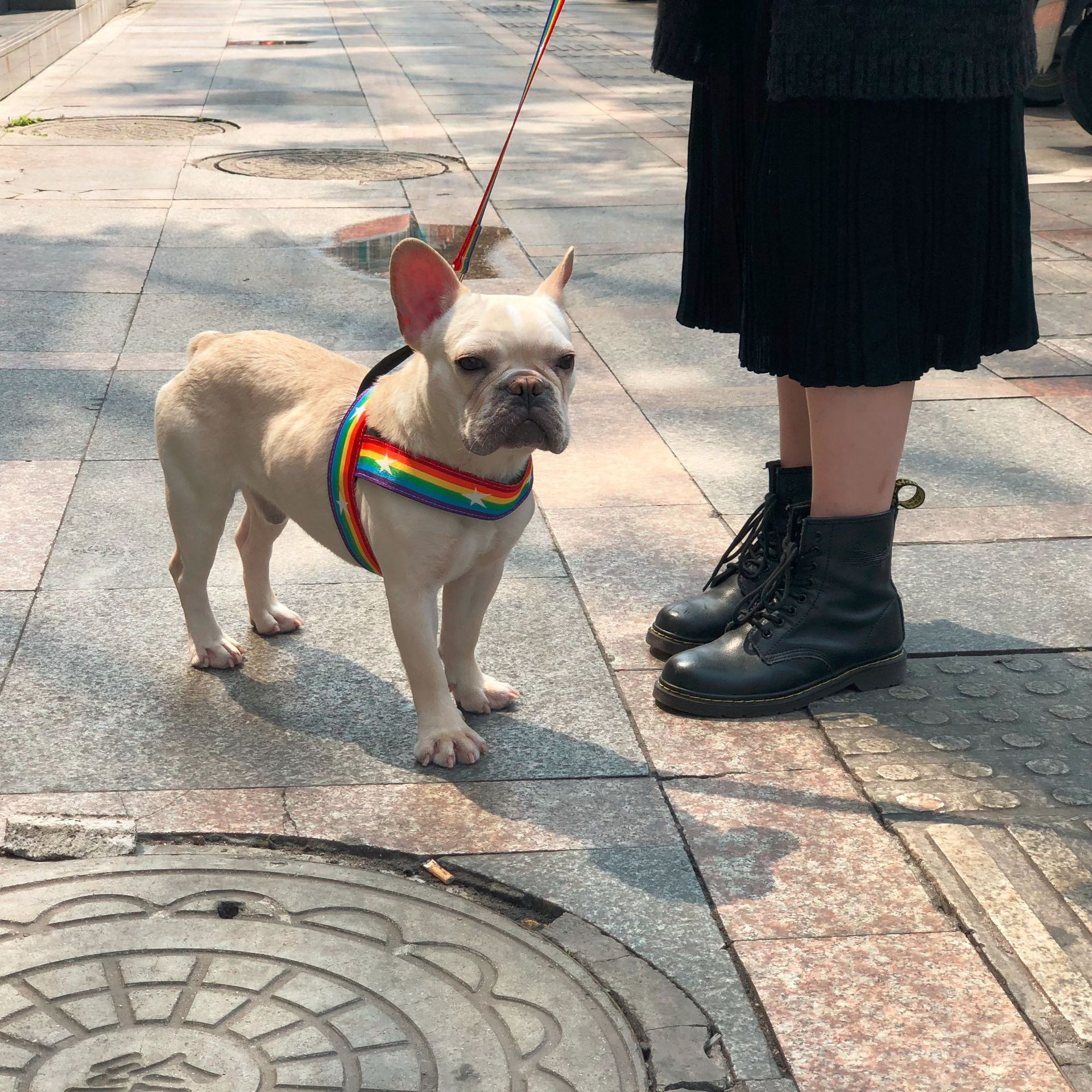 Pet Rainbow Style Cool Chain Leash