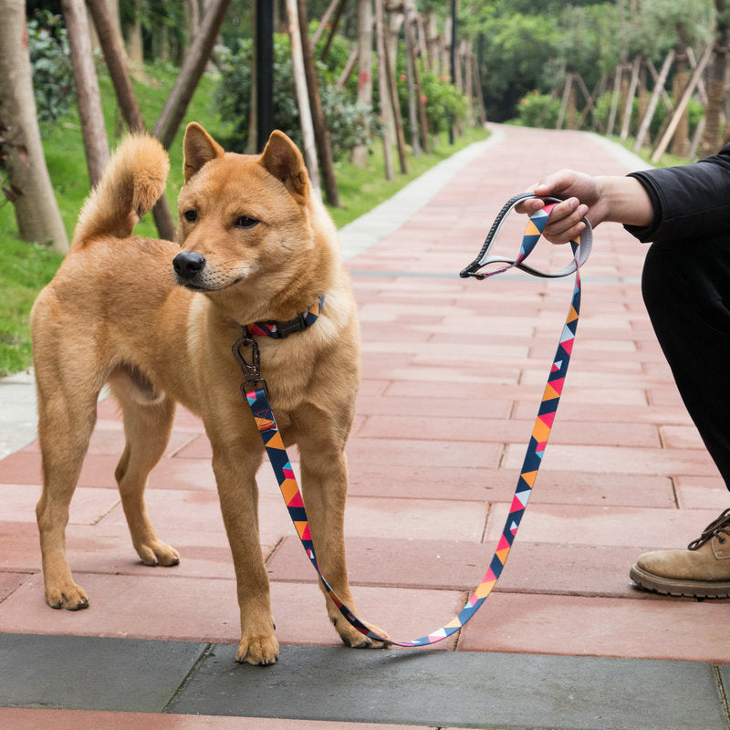 Pet Supply Leash For Walking Pets