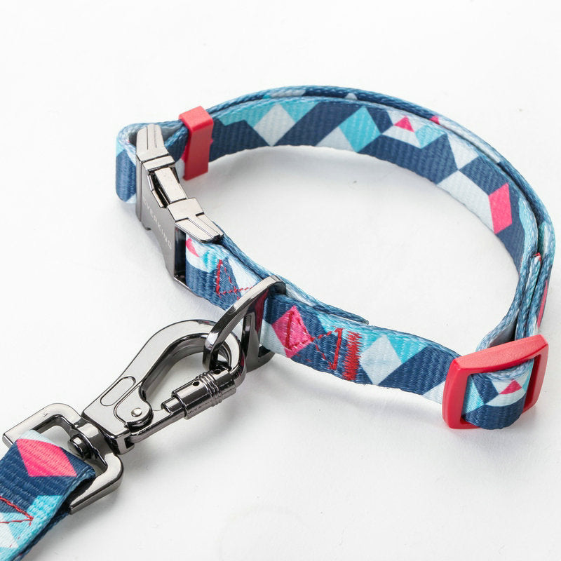 Pet Supply Leash For Walking Pets