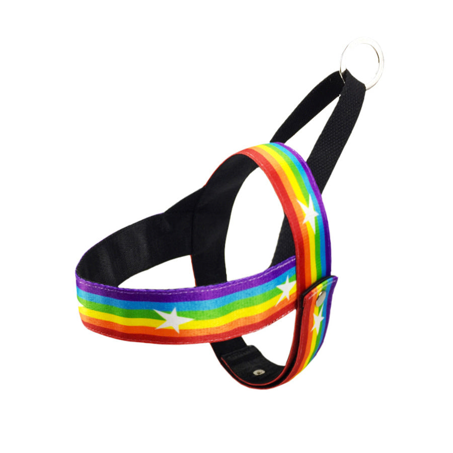 Pet Rainbow Style Cool Chain Leash