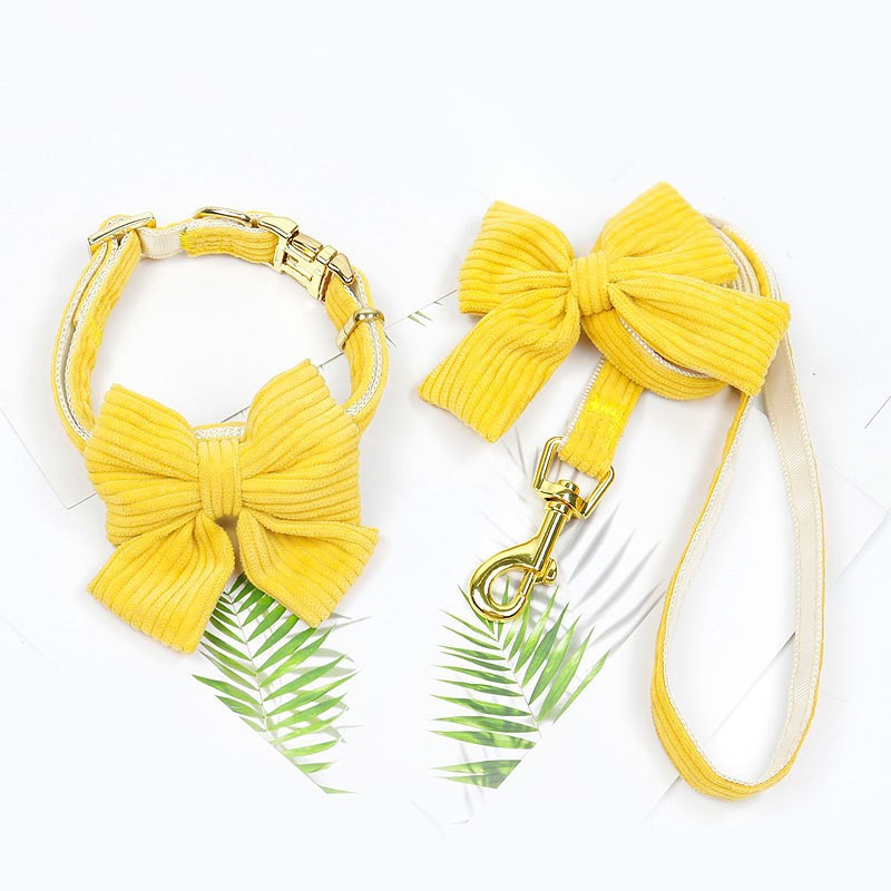 Outdoor Pet Harness And Leash Set