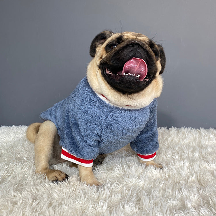 Pet Sweater Clothing