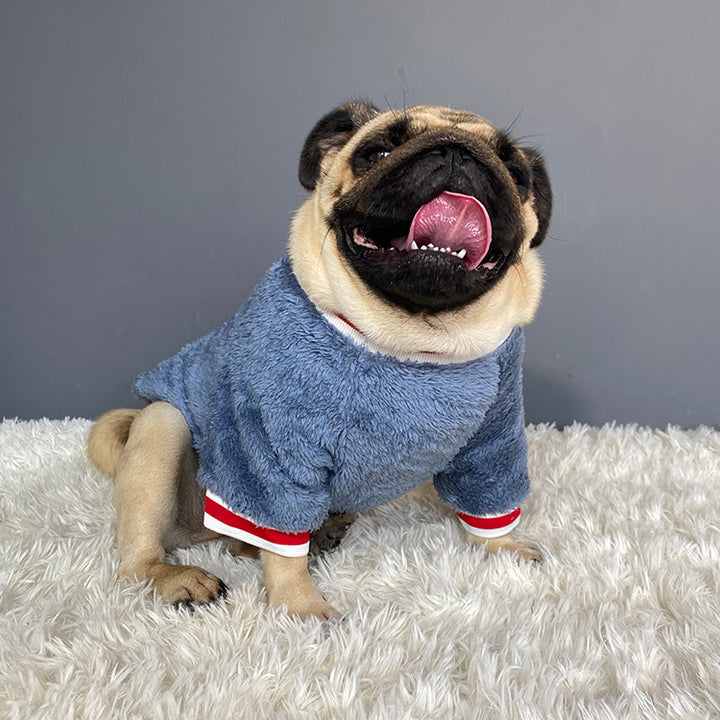 Pet Sweater Clothing