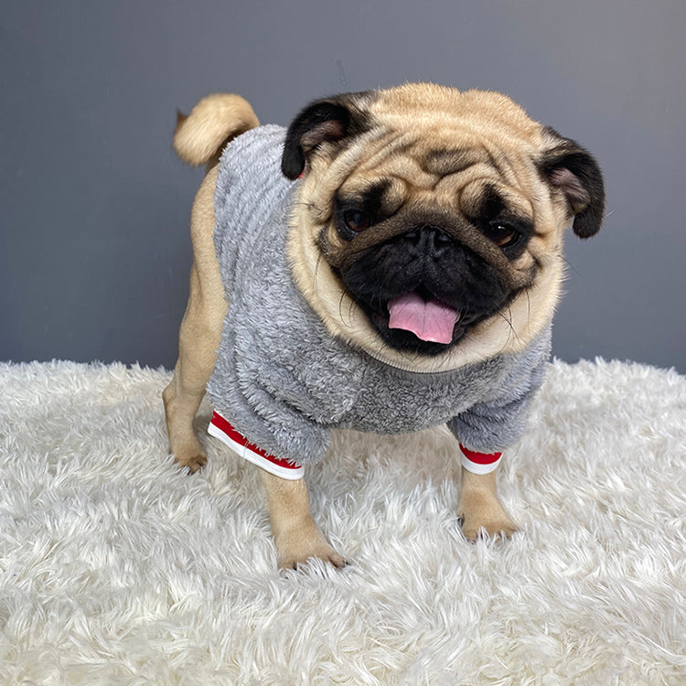 Pet Sweater Clothing