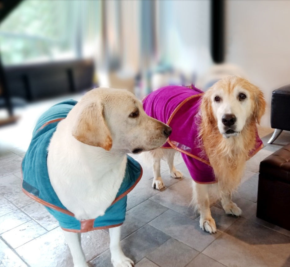 Pet Quick Dry Absorbent Bath Towel