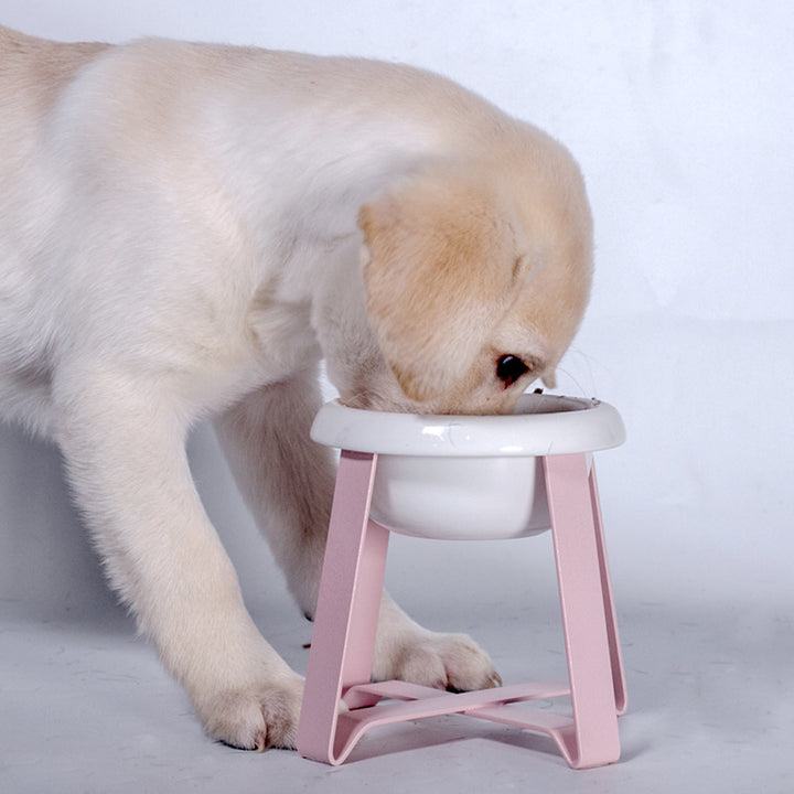 Anti-Slip Pet Feeding Bowl With Iron Stand Set