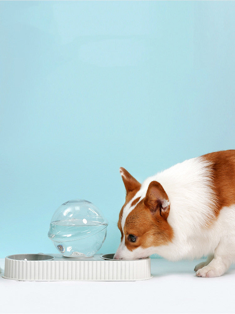 Automatic Pet Feeding And Drinking Water Bowl Dispenser