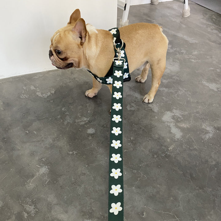 Pet Vest Style Adjustable Leash For Large Pets