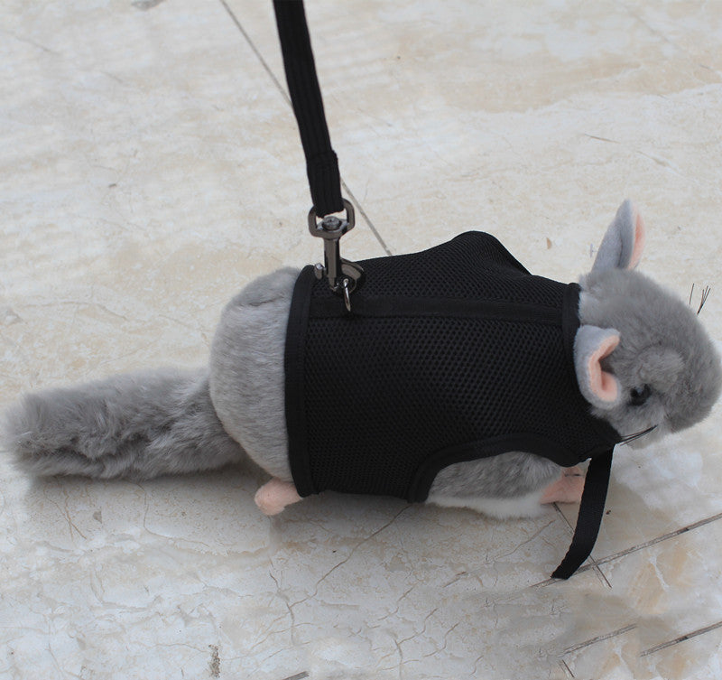 Adjustable Small Pet Leash For Safe Outdoor Walking Control