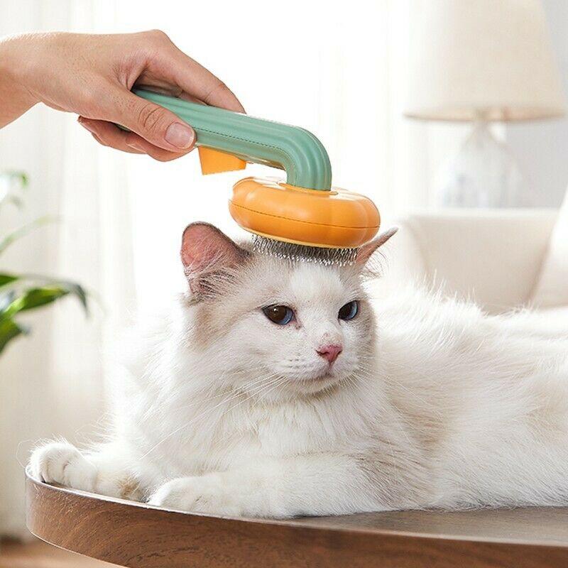 Self Cleaning Pet Slicker Brush For Grooming Hair Removal