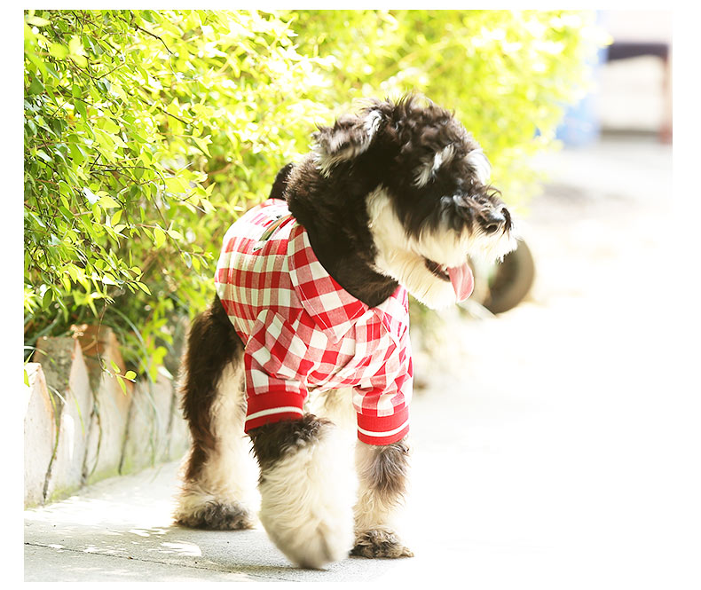 Pet Summer Law Fight T-Shirt Clothing