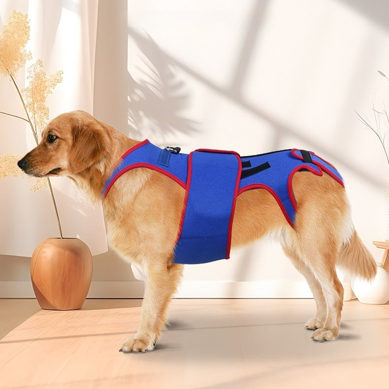 Pet Spine Support Posture Correction Jacket Clothing