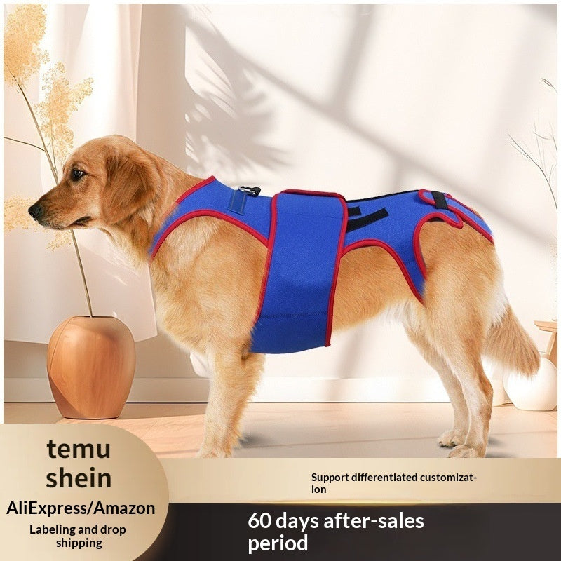 Pet Spine Support Posture Correction Jacket Clothing