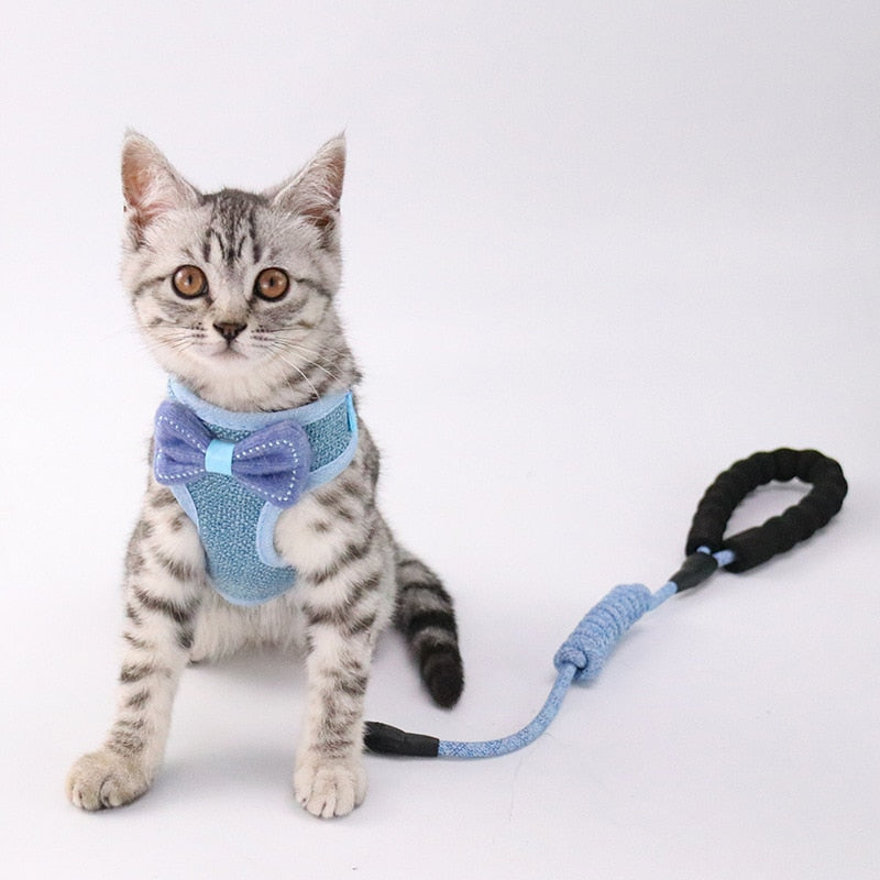 Pet Chest And Back Harness Leash