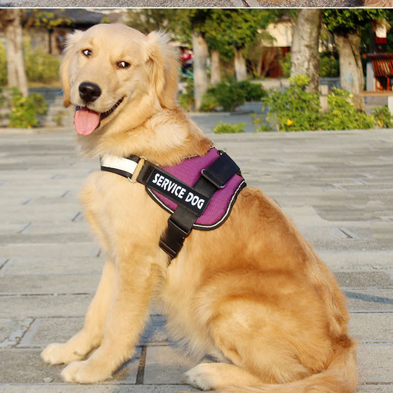 Pet Labrador Style Harness Leash Set