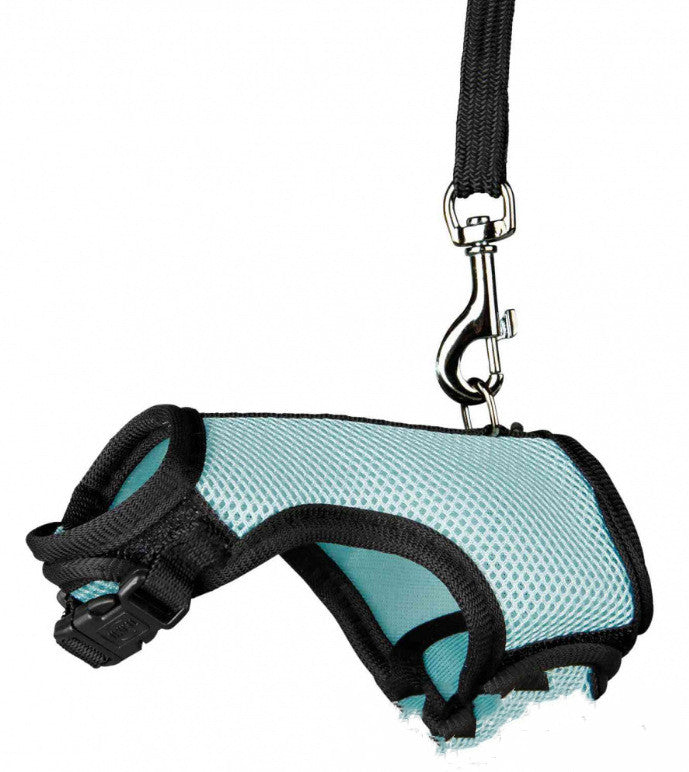 Adjustable Small Pet Leash For Safe Outdoor Walking Control