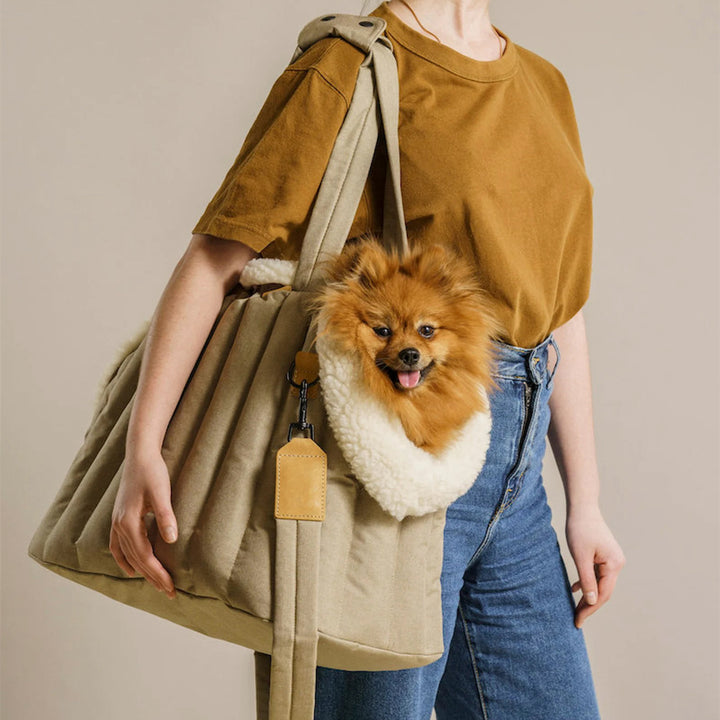 Lightweight Waterproof Pet Carrier Bag For Outdoor Travel