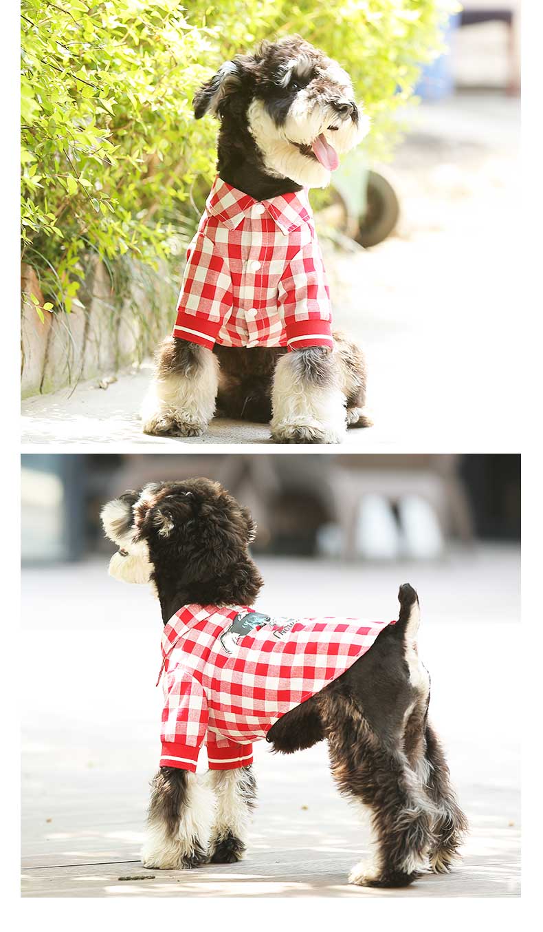 Pet Summer Law Fight T-Shirt Clothing