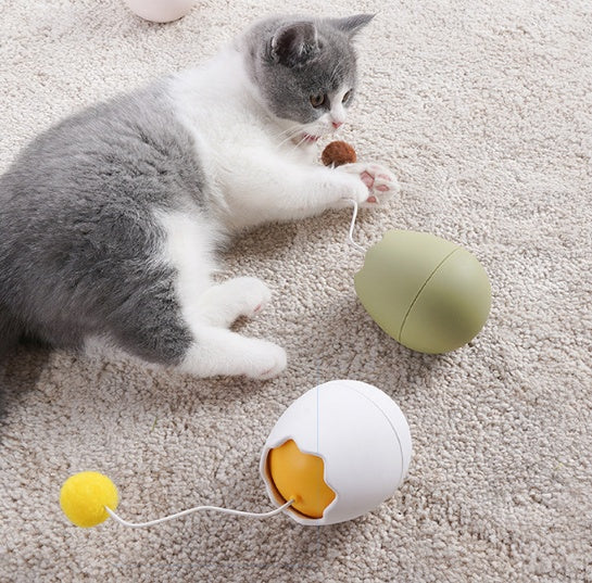 Pet Funny Interactive Entertainment Toy
