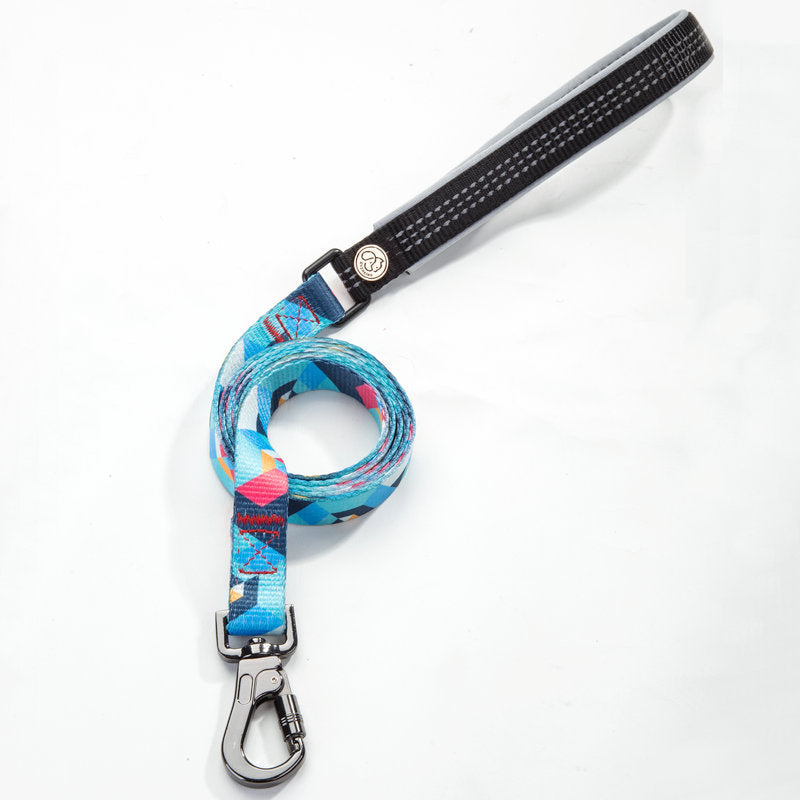 Pet Supply Leash For Walking Pets