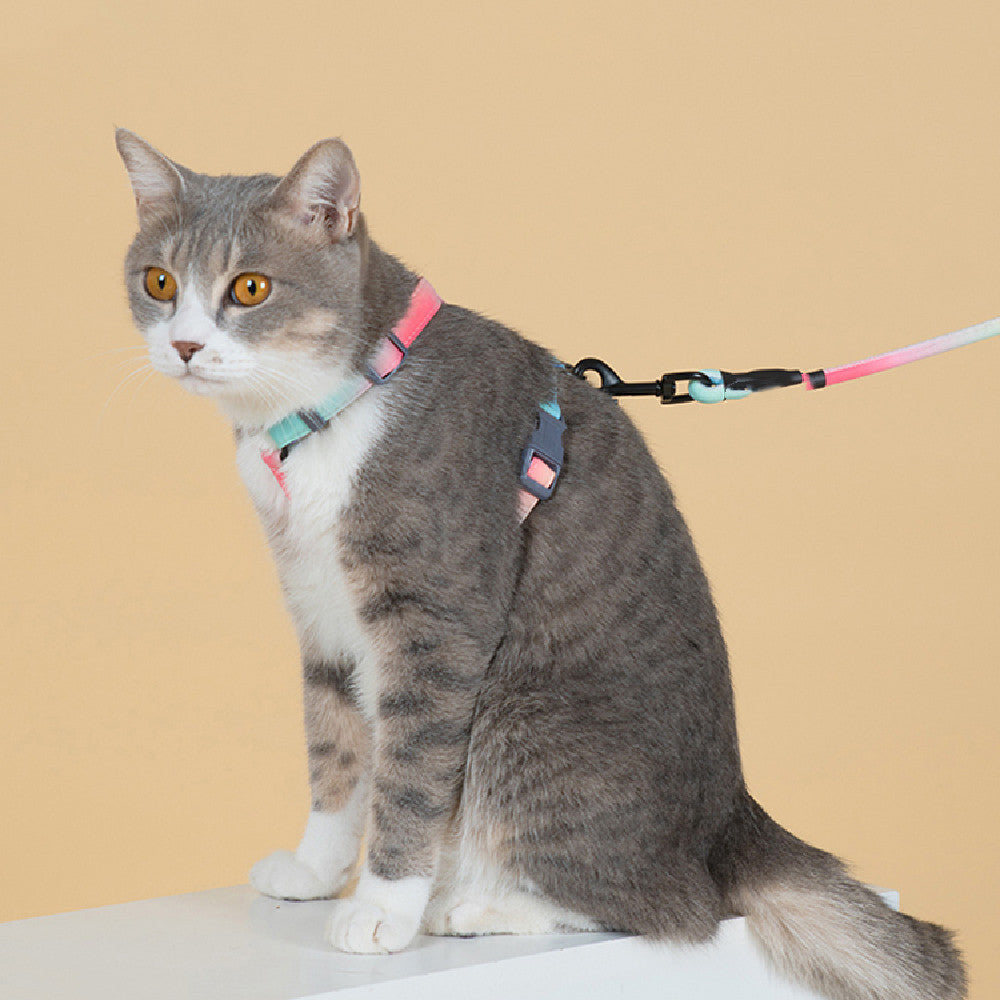Fashion Pet Leash To Prevent Escape And Breaking Free
