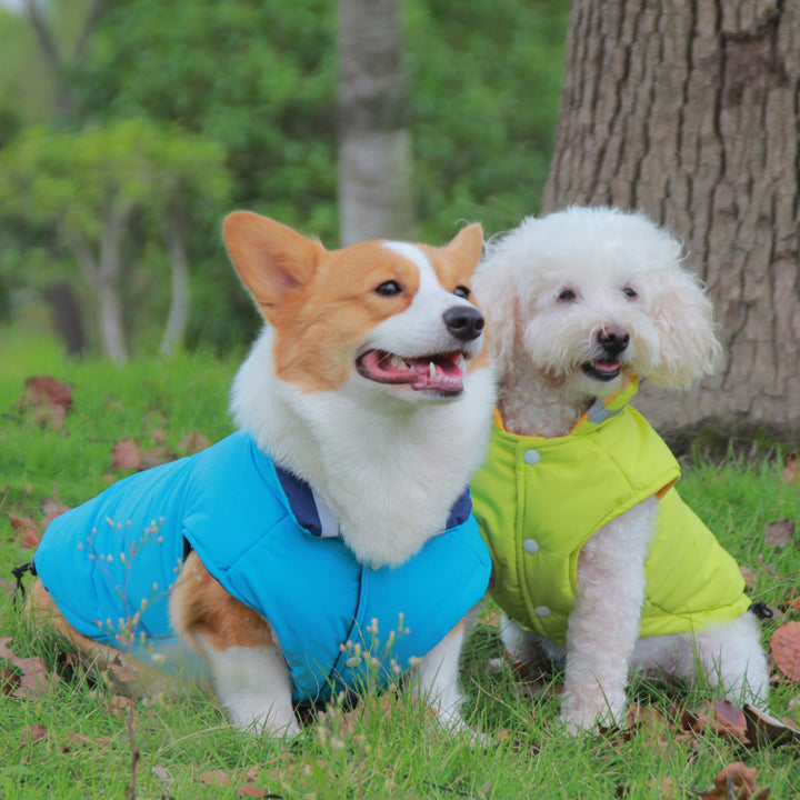 Pet Thickened Waterproof Outdoor Jacket Double Sided Reflective