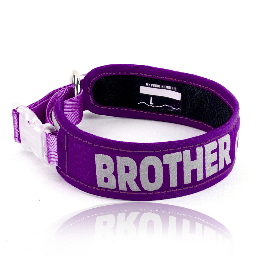 Pet Chest Strap Leash With Storage Bag