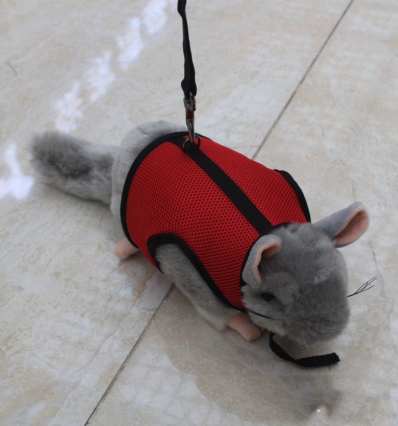 Adjustable Small Pet Leash For Safe Outdoor Walking Control